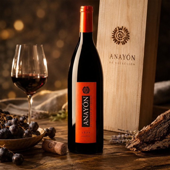 Anayon 2009 colleccionistas