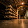 Vermut Ostras Pedrín bodega