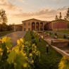 Cava Gran Ducay Brut Nature bodega