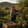 Delicia de Manzana Esperiega con Azafrán productor