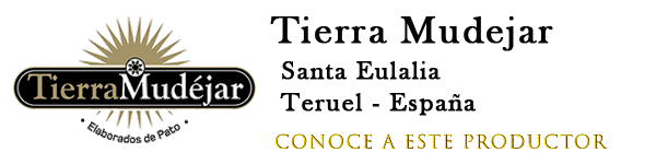 Tierra Mudejar